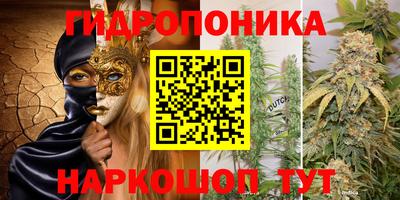тгк Рыбинск