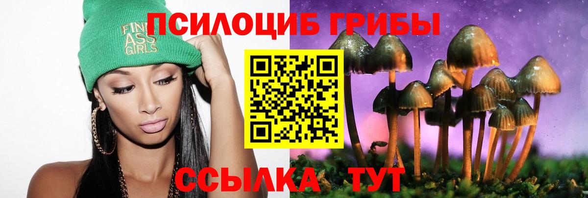 Псилоцибиновые грибы GOLDEN TEACHER  Вход с VPN  Симферополь 